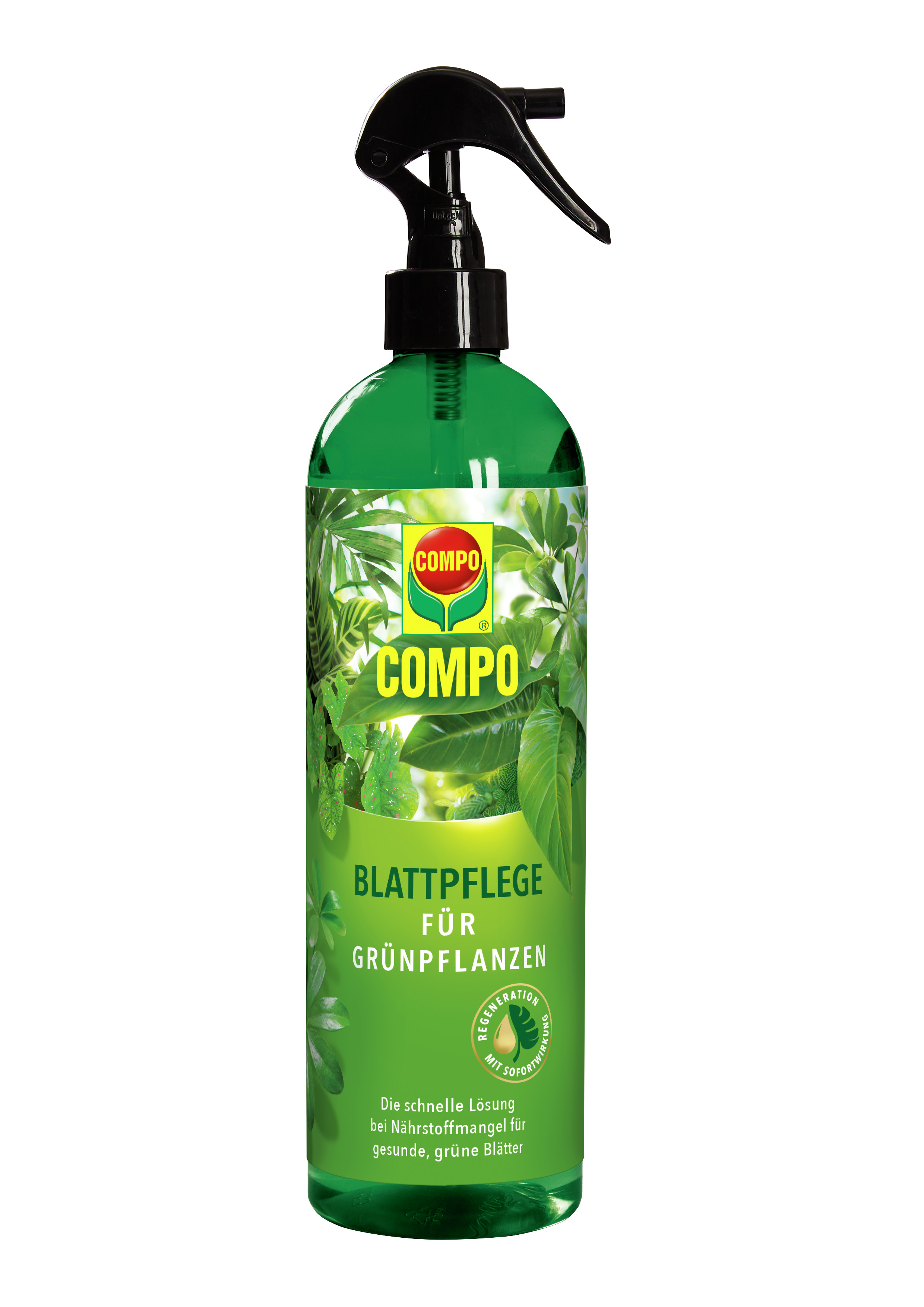 COMPO Blattpflege für Grünpflanzen 500ml COMPO COMPO Blattpflege für Grünpflanzen 500ml Compo EREG