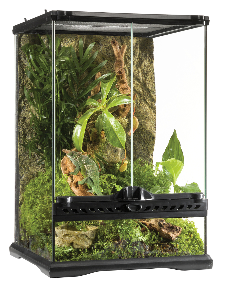 HAGEN DEUTSCHLAND GMBH & CO KG Ex Glasterrarium 30x30x45cm Exo Terra