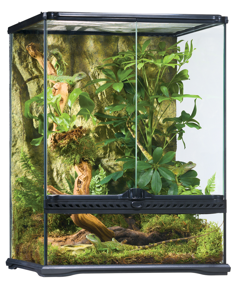 HAGEN DEUTSCHLAND GMBH & CO KG Ex Glasterrarium 45x45x60cm Exo Terra