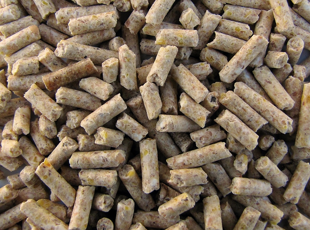 MISCHFUTTER RUPPENDORF Broilermast mit Adisal pelletiert 12,5kg 